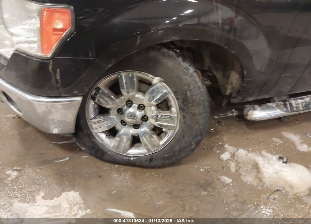 2010 FORD F-150 VIN: 1FTFW1EV9AFA04789