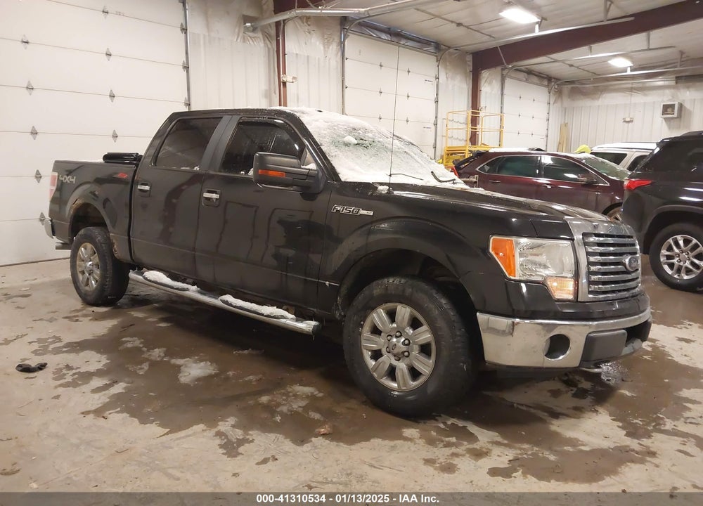 2010 FORD F-150 VIN: 1FTFW1EV9AFA04789