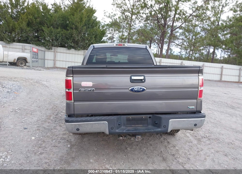 2010 FORD F-150 VIN: 1FTFW1CV8AFB84737
