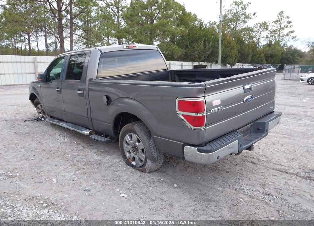2010 FORD F-150 VIN: 1FTFW1CV8AFB84737