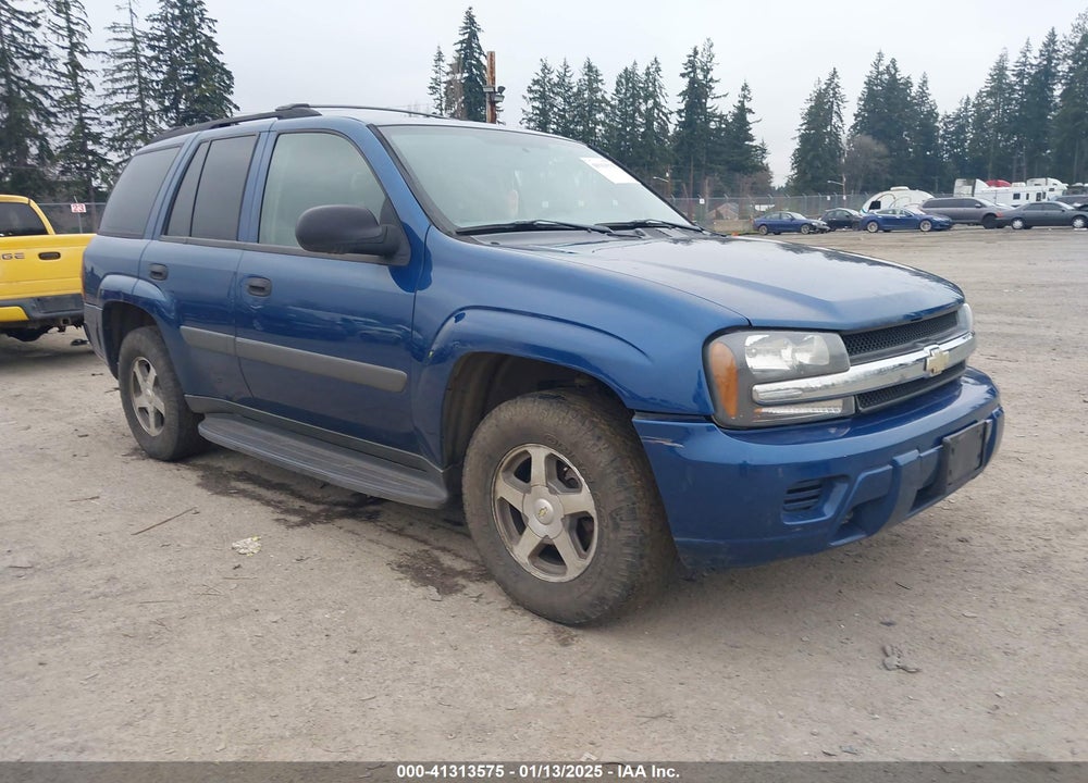 2005 CHEVROLET TRAILBLAZER LS VIN: 1GNDT13S452211684
