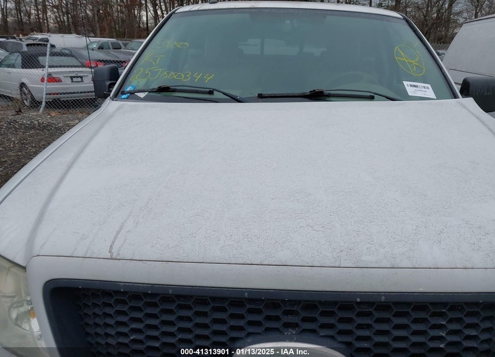 2006 FORD F-150 FX4/LARIAT/XL/XLT VIN: 1FTPX14546NA33228