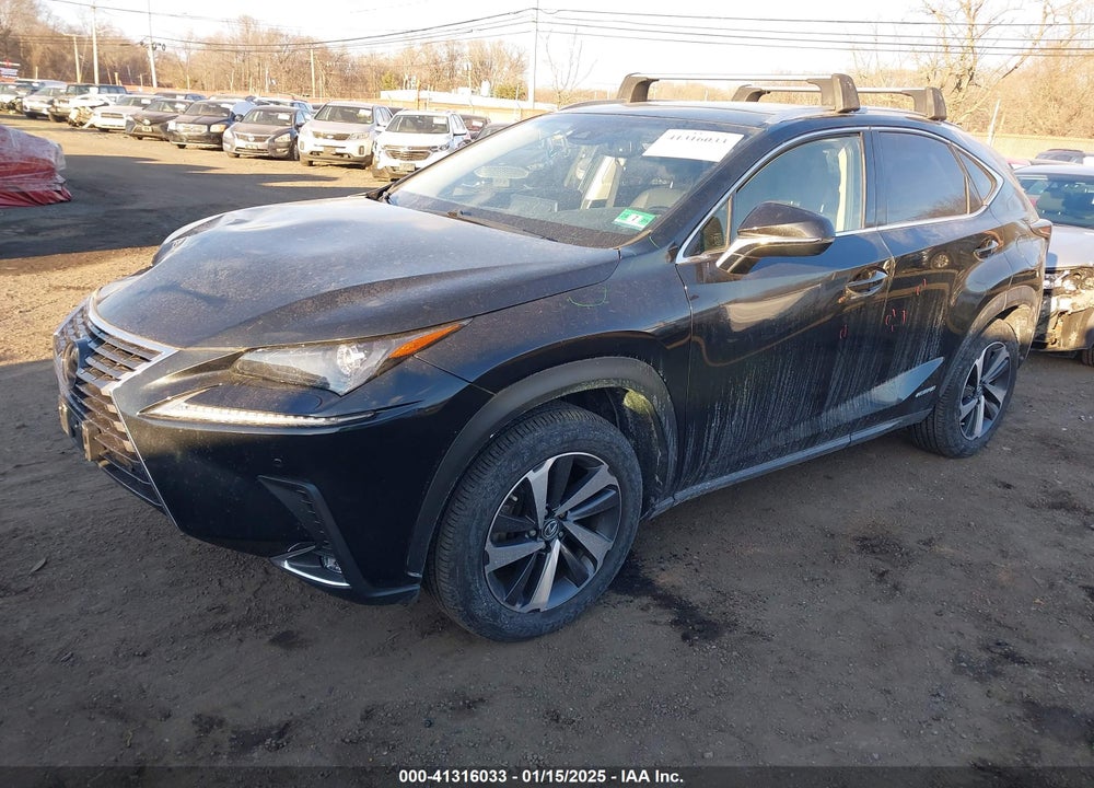 2018 LEXUS NX 300H VIN: JTJBJRBZ8J2081872