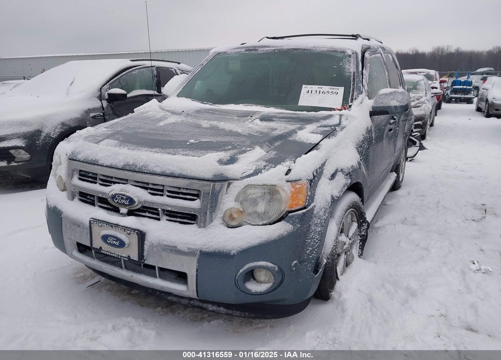 2010 FORD ESCAPE LIMITED VIN: 1FMCU9EG2AKB61897