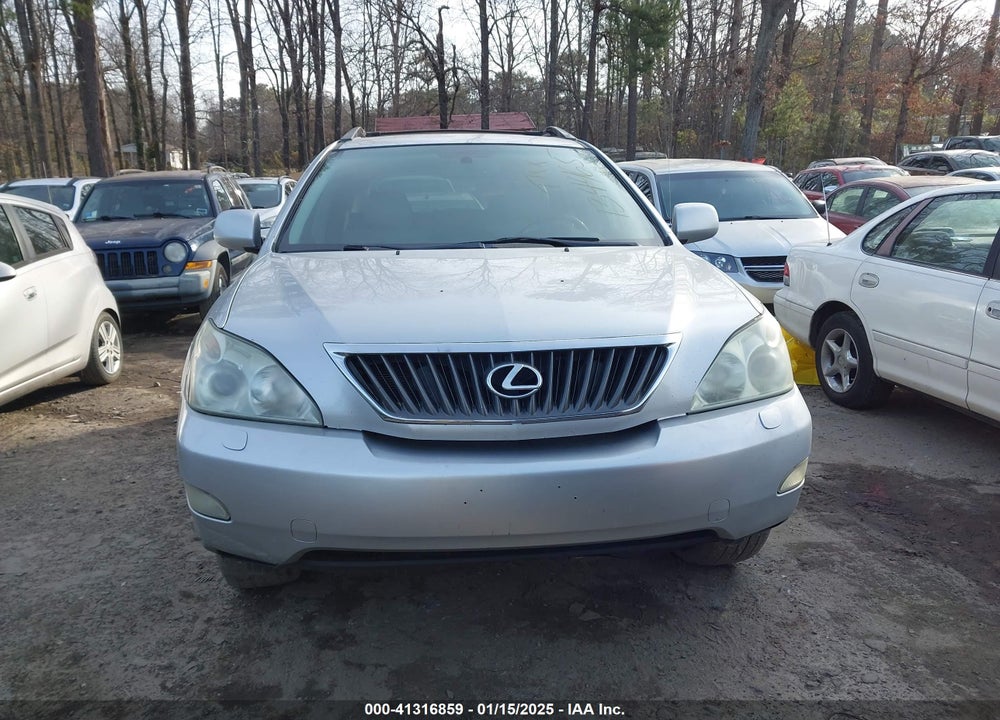 2009 LEXUS RX 350 VIN: 2T2HK31U19C134465