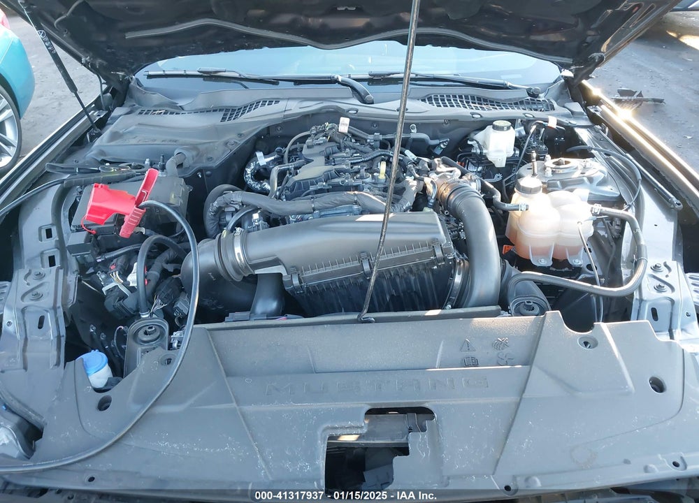 2024 FORD MUSTANG ECOBOOST FASTBACK VIN: 1FA6P8THXR5110971