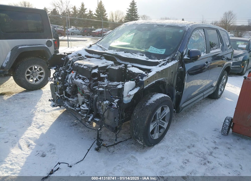 2024 HONDA PILOT EX-L VIN: 5FNYG1H42RB030708