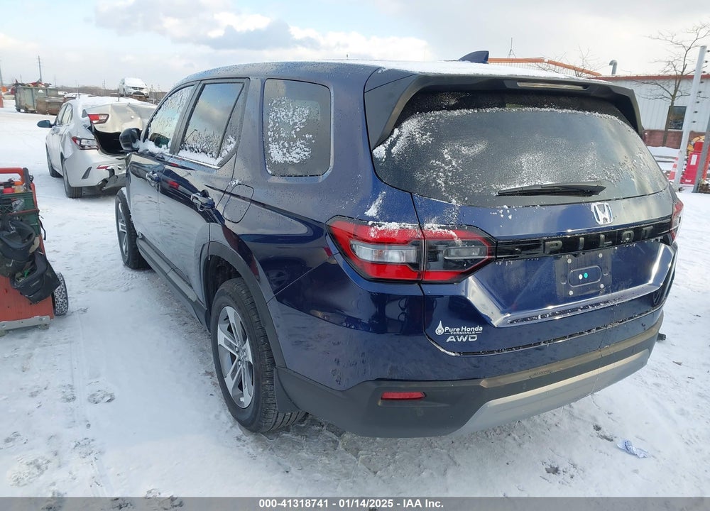 2024 HONDA PILOT EX-L VIN: 5FNYG1H42RB030708