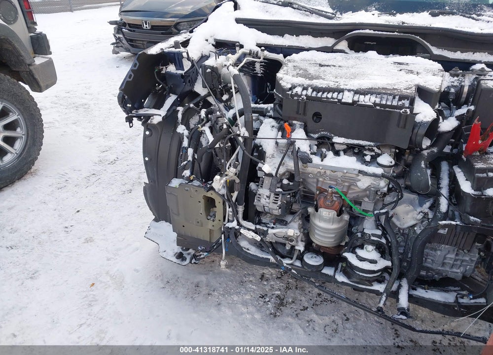 2024 HONDA PILOT EX-L VIN: 5FNYG1H42RB030708