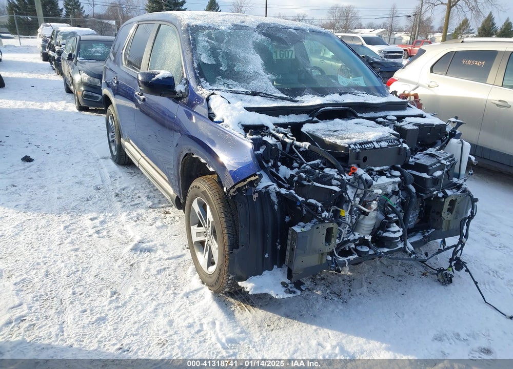 2024 HONDA PILOT EX-L VIN: 5FNYG1H42RB030708