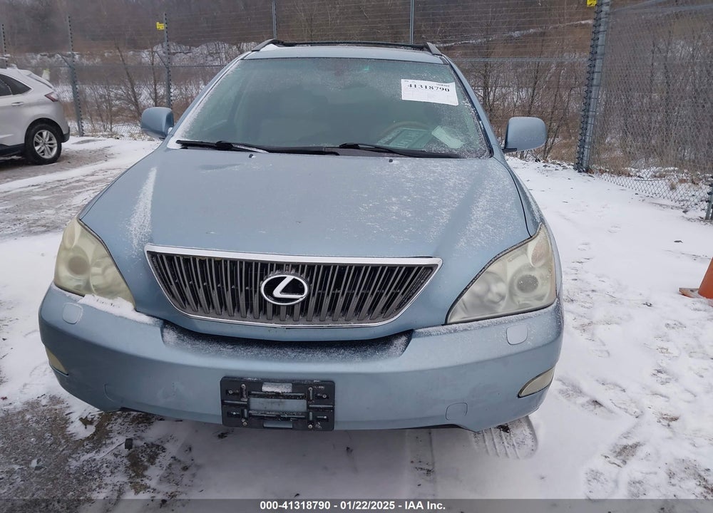 2006 LEXUS RX 330 VIN: 2T2HA31U06C090568