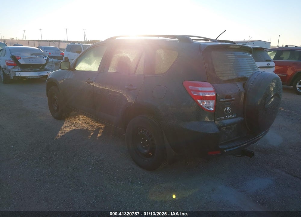 2009 TOYOTA RAV4 VIN: JTMBF33V29D016593