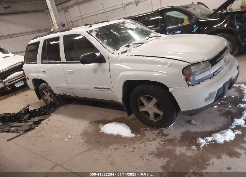 2004 CHEVROLET TRAILBLAZER LT VIN: 1GNDT13S342338585