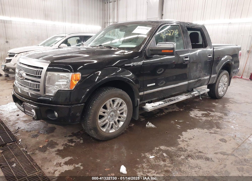 2011 FORD F-150 PLATINUM VIN: 1FTFW1ET1BFD35317