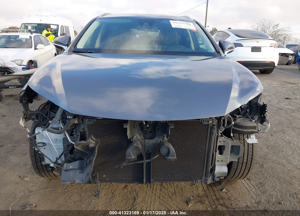 2020 LEXUS NX 300 VIN: JTJAARBZ9L5013190