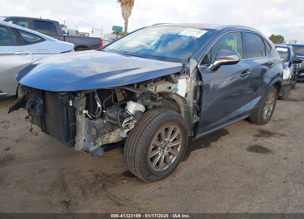 2020 LEXUS NX 300 VIN: JTJAARBZ9L5013190