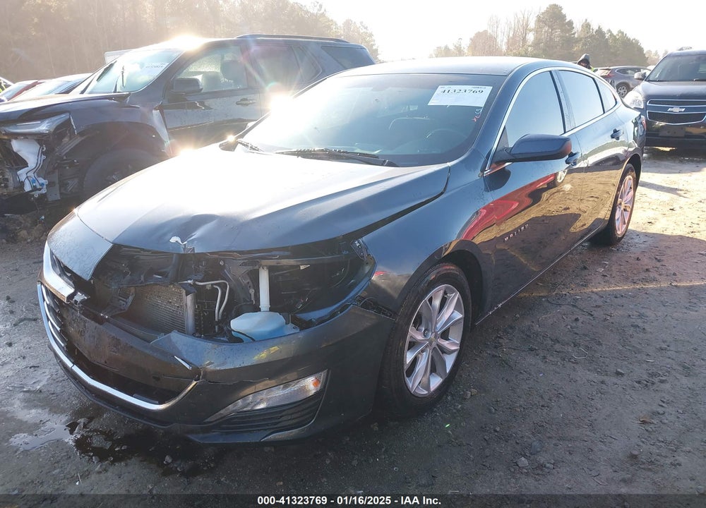 2019 CHEVROLET MALIBU VIN: 1G1ZD5ST7KF146159