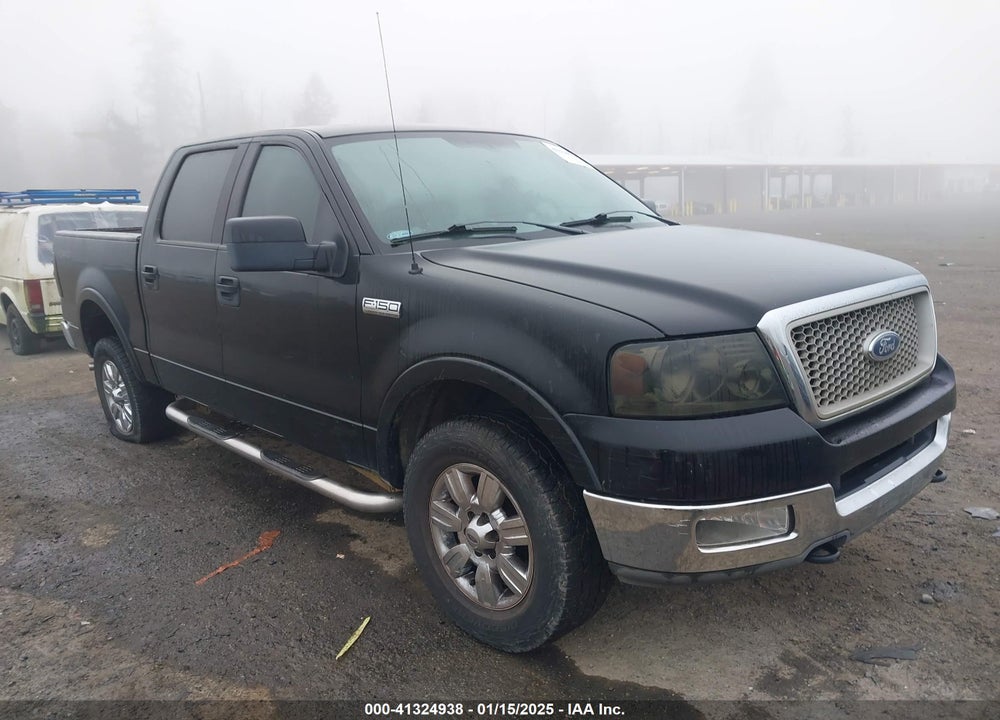2004 FORD F-150 VIN: 1FTPW14524KD46876