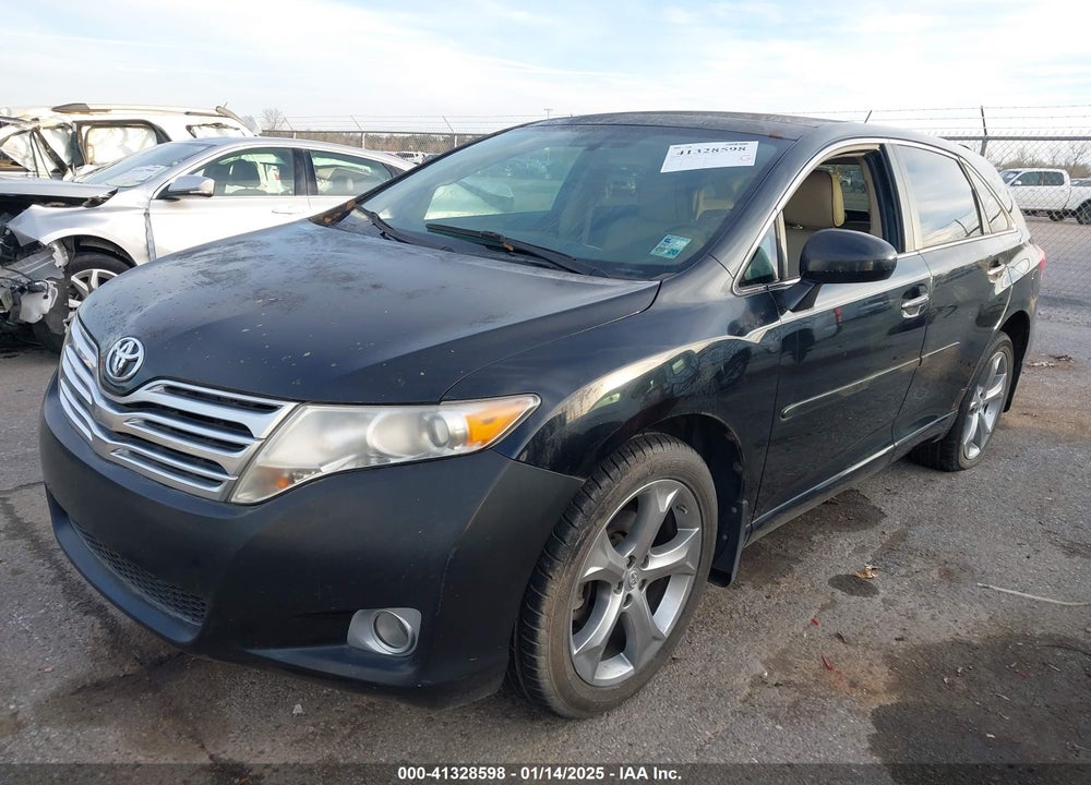 2009 TOYOTA VENZA VIN: 4T3ZK11AX9U009800