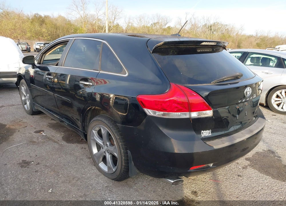 2009 TOYOTA VENZA VIN: 4T3ZK11AX9U009800