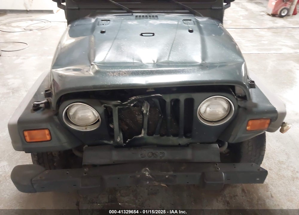 2003 JEEP WRANGLER X VIN: 1J4FA39S43P339234