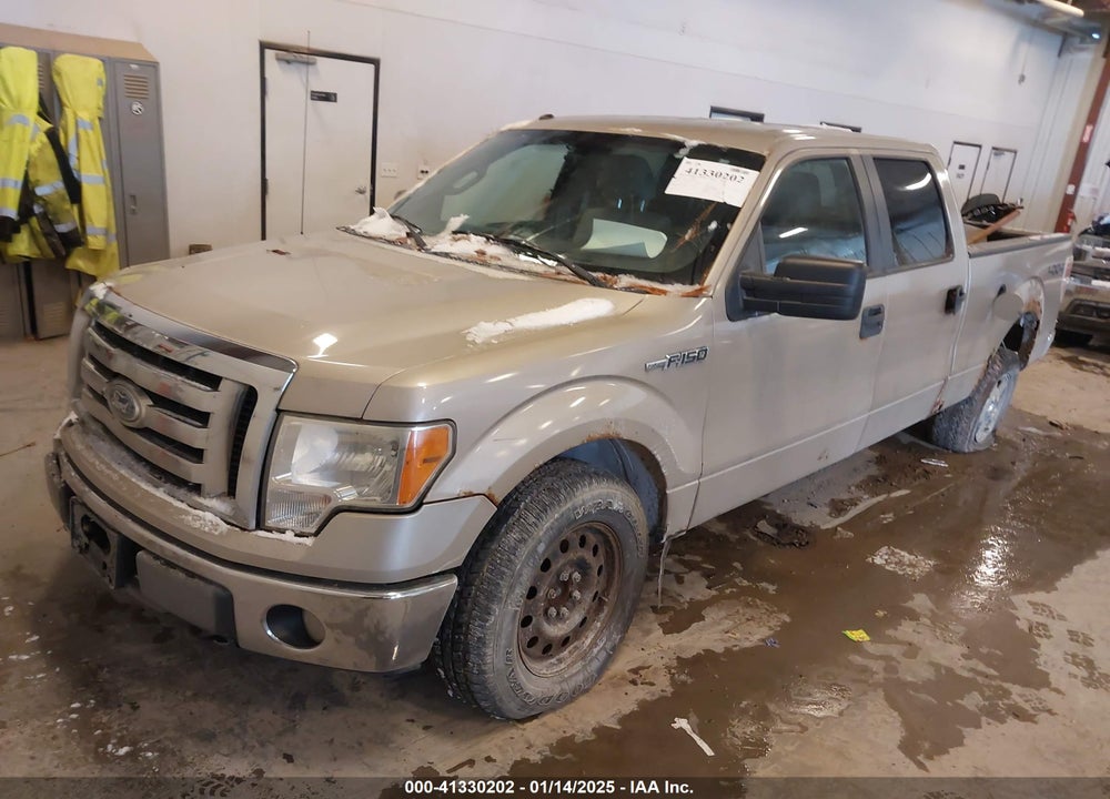 2010 FORD F-150 FX4/HARLEY-DAVIDSON/KING RANCH/LARIAT/PLATINUM/XL/XLT VIN: 1FTFW1EV4AFD36638