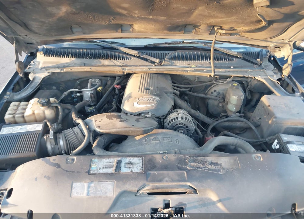 2002 CHEVROLET SILVERADO 1500 LS VIN: 2GCEC19T921380835