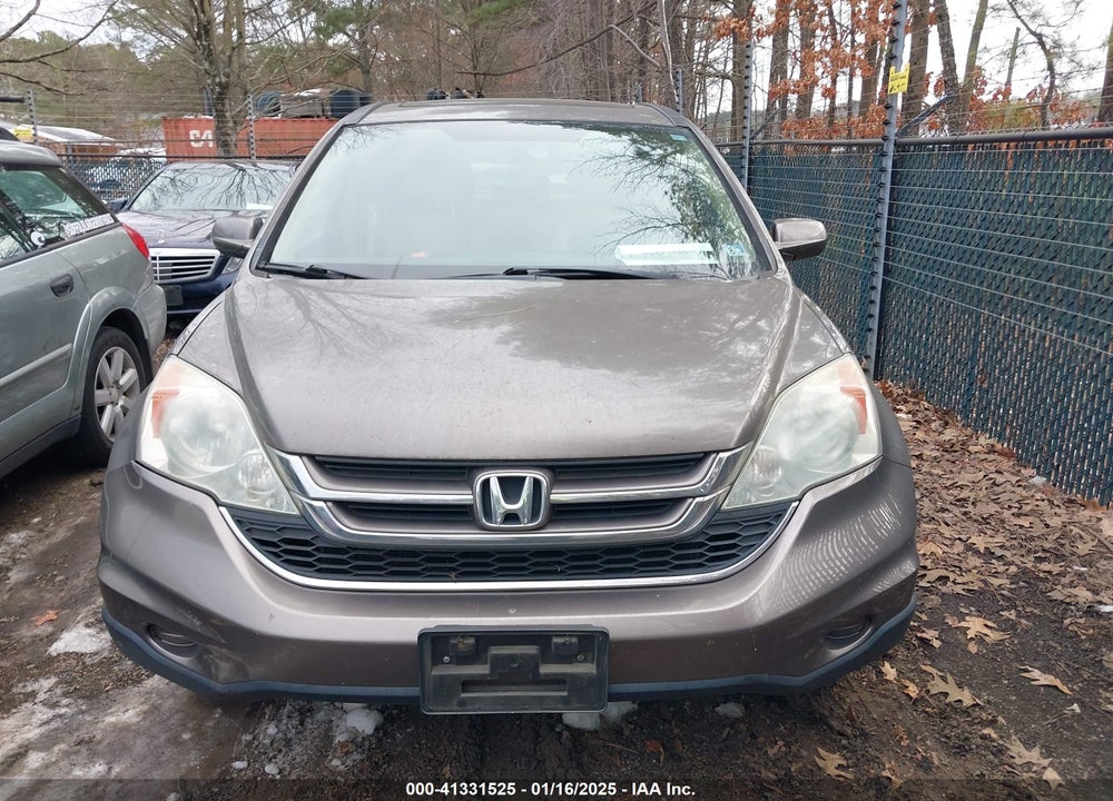 2010 HONDA CR-V EX-L VIN: 5J6RE4H73AL053352