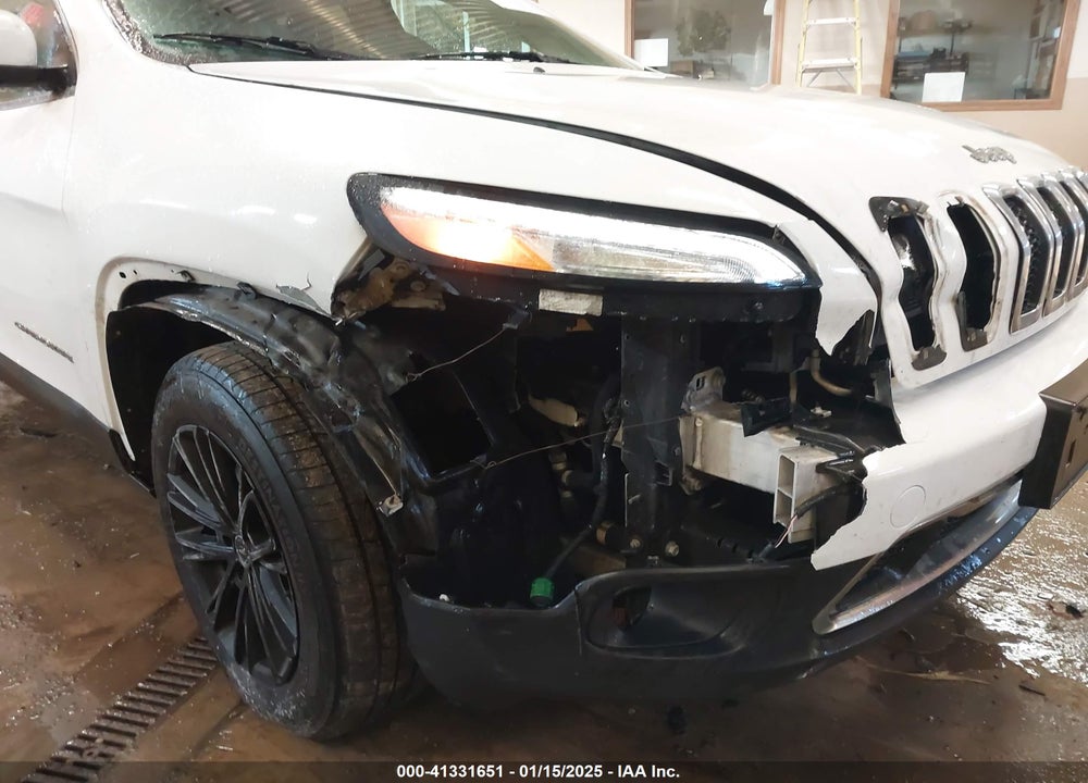 2014 JEEP CHEROKEE LIMITED VIN: 1C4PJMDS4EW207817