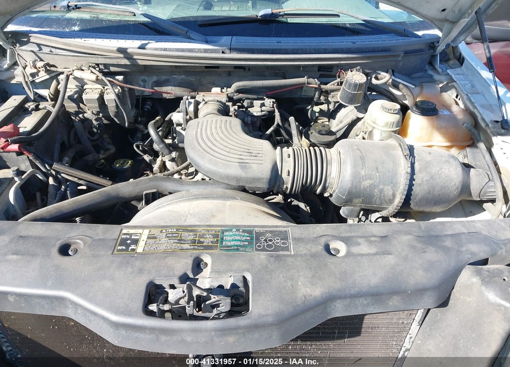 2004 FORD F-150 STX/XL/XLT VIN: 1FTRX12WX4KD93820