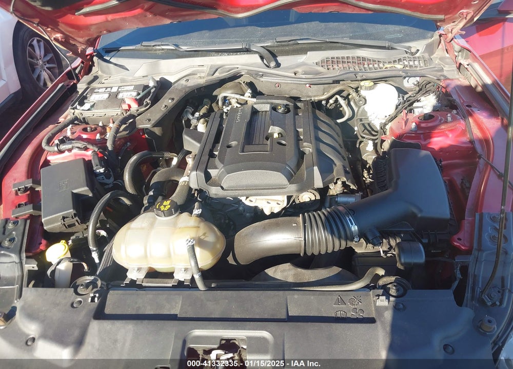 2019 FORD MUSTANG VIN: 1FA6P8TH9K5199731