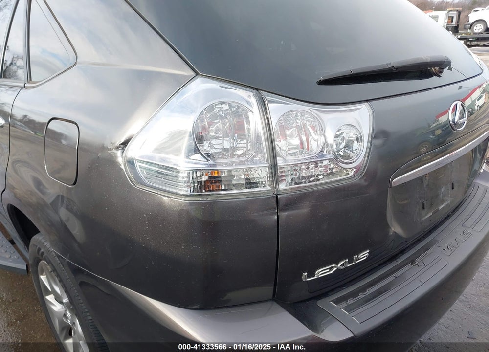 2009 LEXUS RX 350 VIN: 2T2HK31U79C119839