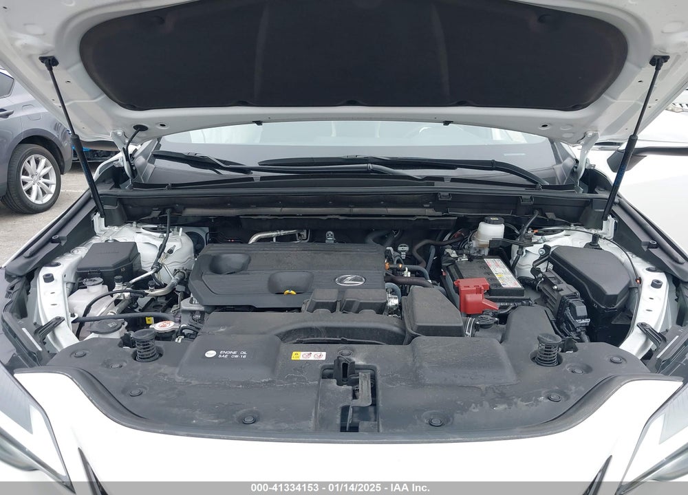 2023 LEXUS NX 250 VIN: JTJADCAZ9P5010060