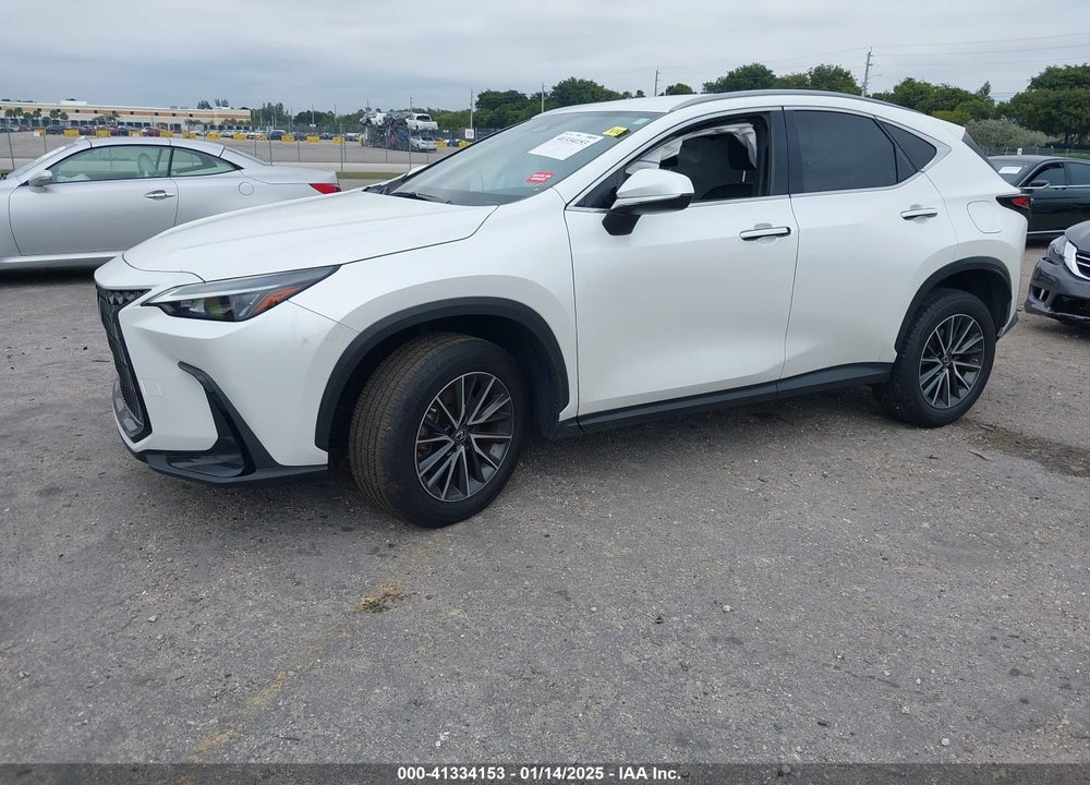 2023 LEXUS NX 250 VIN: JTJADCAZ9P5010060