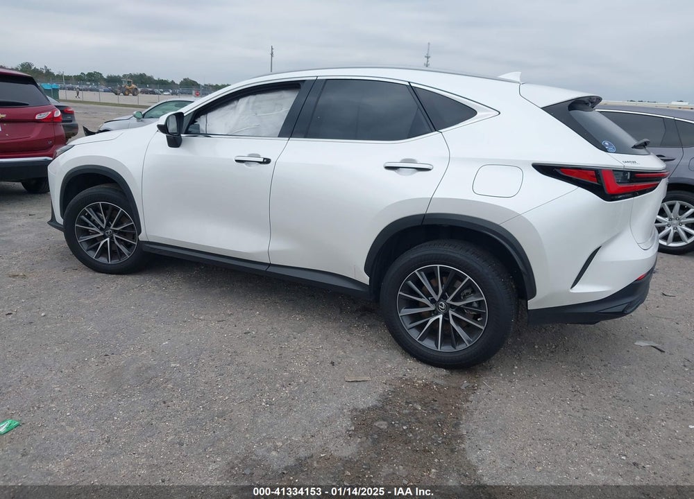 2023 LEXUS NX 250 VIN: JTJADCAZ9P5010060