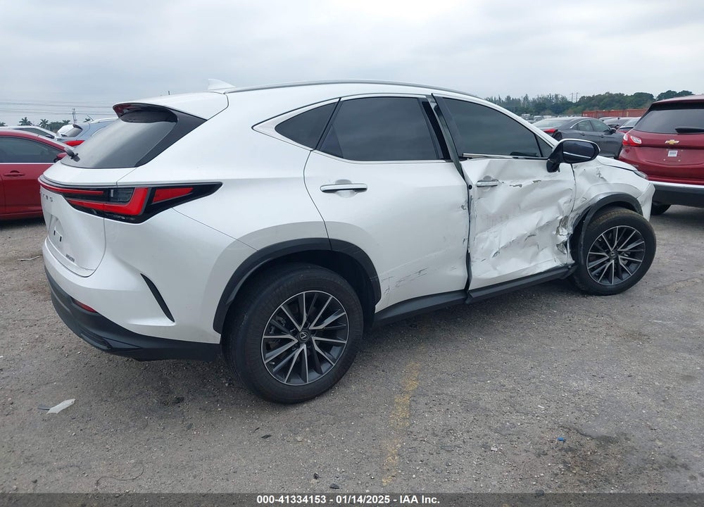 2023 LEXUS NX 250 VIN: JTJADCAZ9P5010060