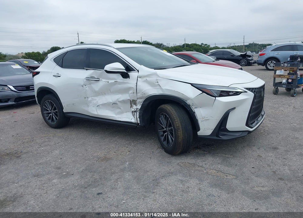 2023 LEXUS NX 250 VIN: JTJADCAZ9P5010060