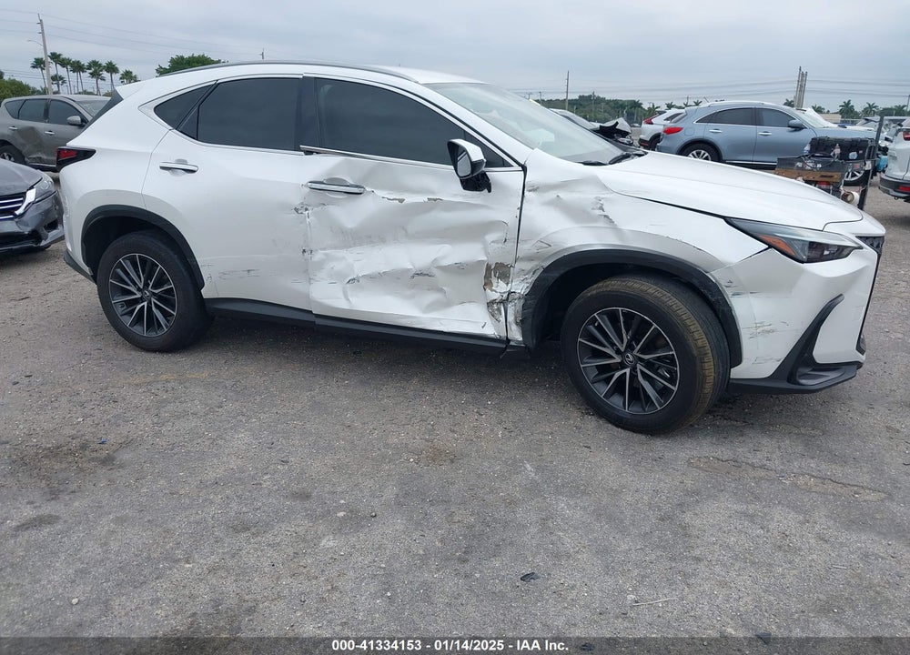 2023 LEXUS NX 250 VIN: JTJADCAZ9P5010060