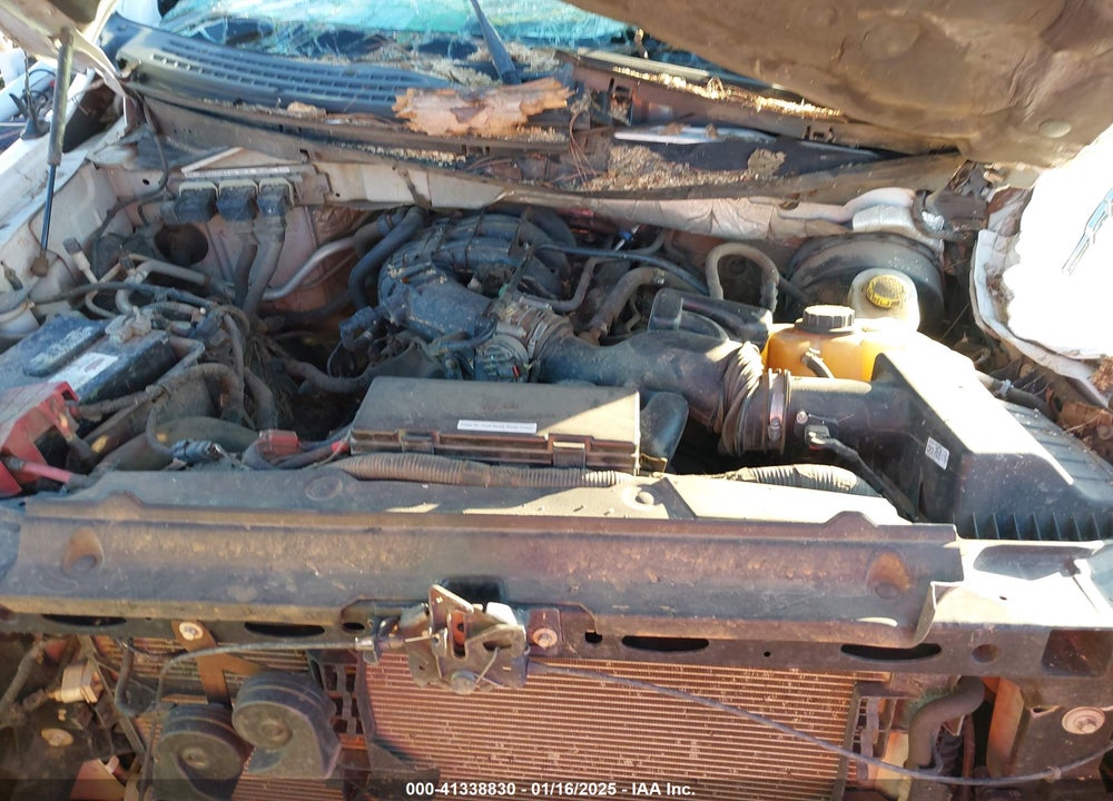 2014 FORD F-150 VIN: 1FTMF1CM8EKE34294