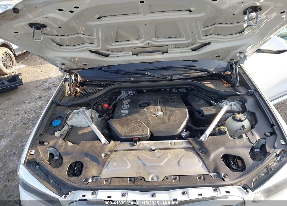 2019 BMW X3 SDRIVE30I VIN: 5UXTR7C50KLR49521