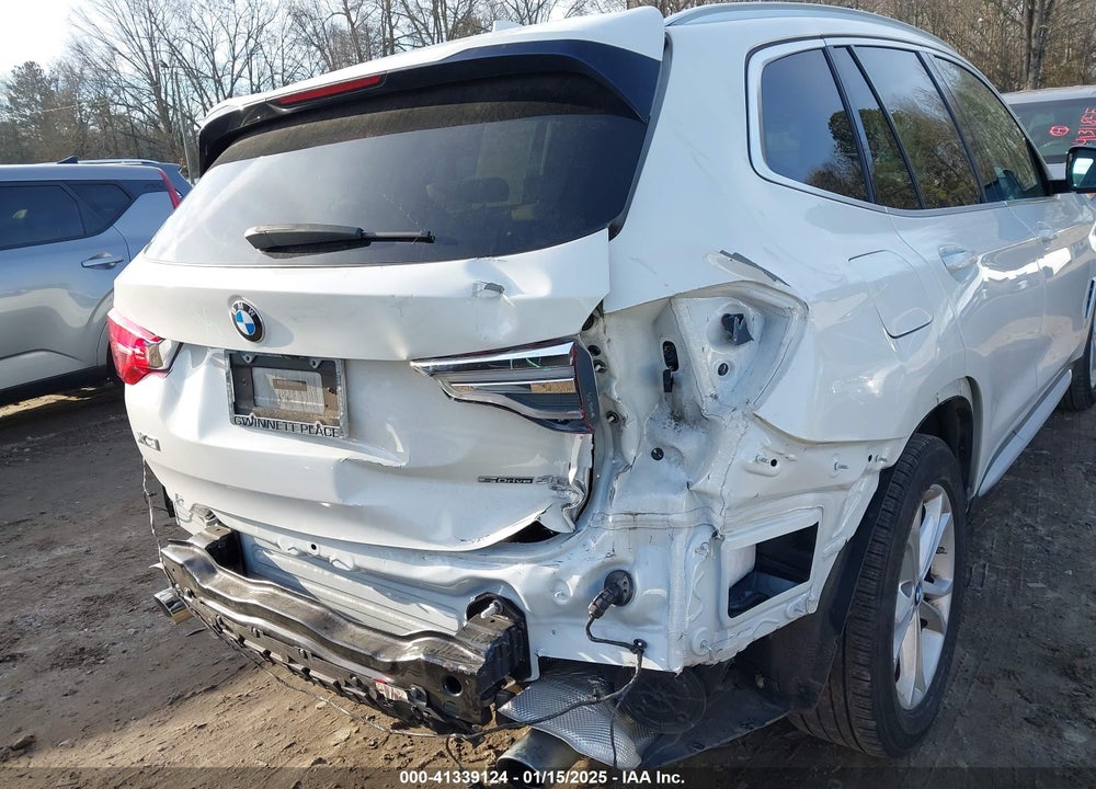 2019 BMW X3 SDRIVE30I VIN: 5UXTR7C50KLR49521