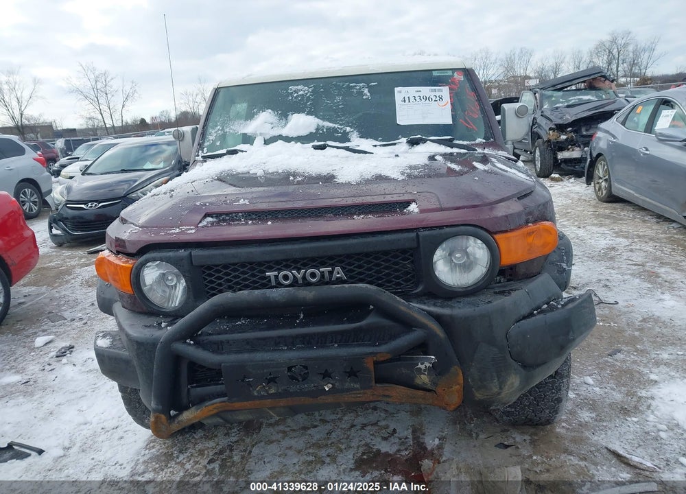 2007 TOYOTA FJ CRUISER VIN: JTEBU11F870069806