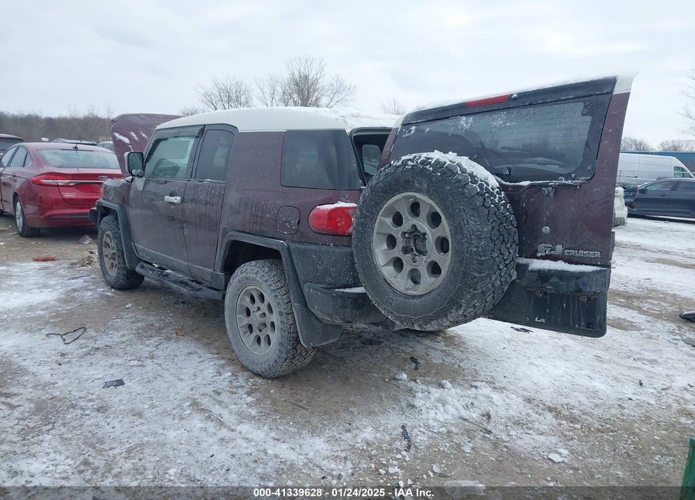 2007 TOYOTA FJ CRUISER VIN: JTEBU11F870069806