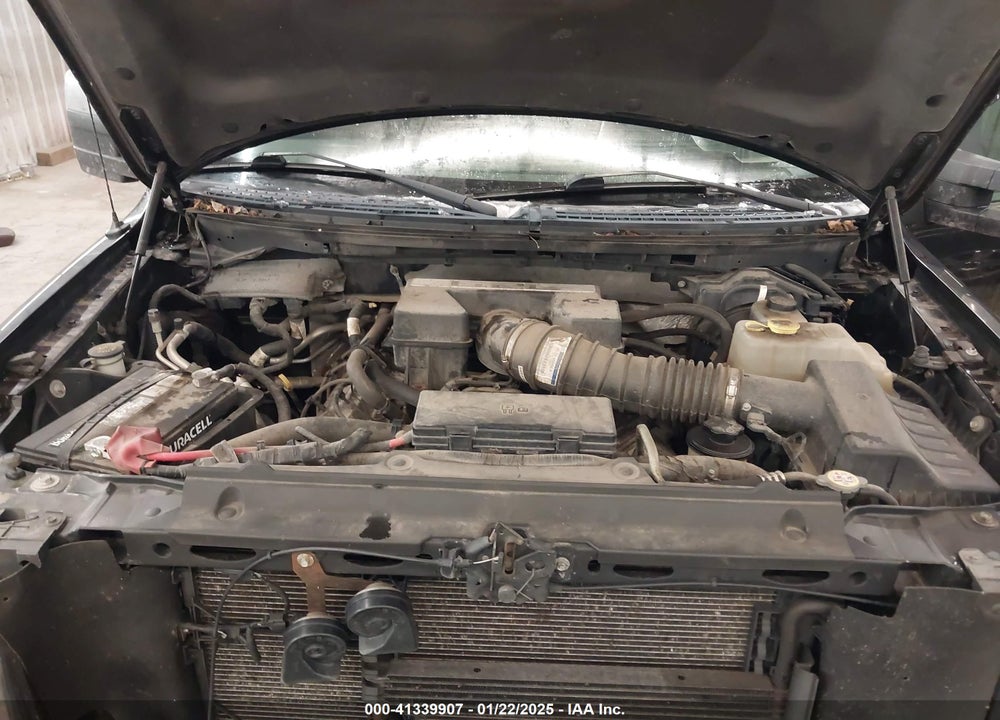 2011 FORD F150 VIN: 1FTFW1E69BFA64646