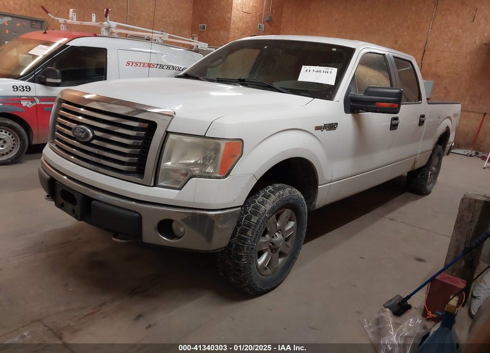 2010 FORD F-150 VIN: 1FTFW1EV1AFA95556