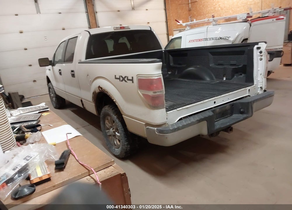 2010 FORD F-150 VIN: 1FTFW1EV1AFA95556