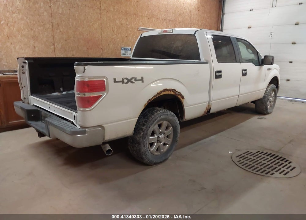 2010 FORD F-150 VIN: 1FTFW1EV1AFA95556