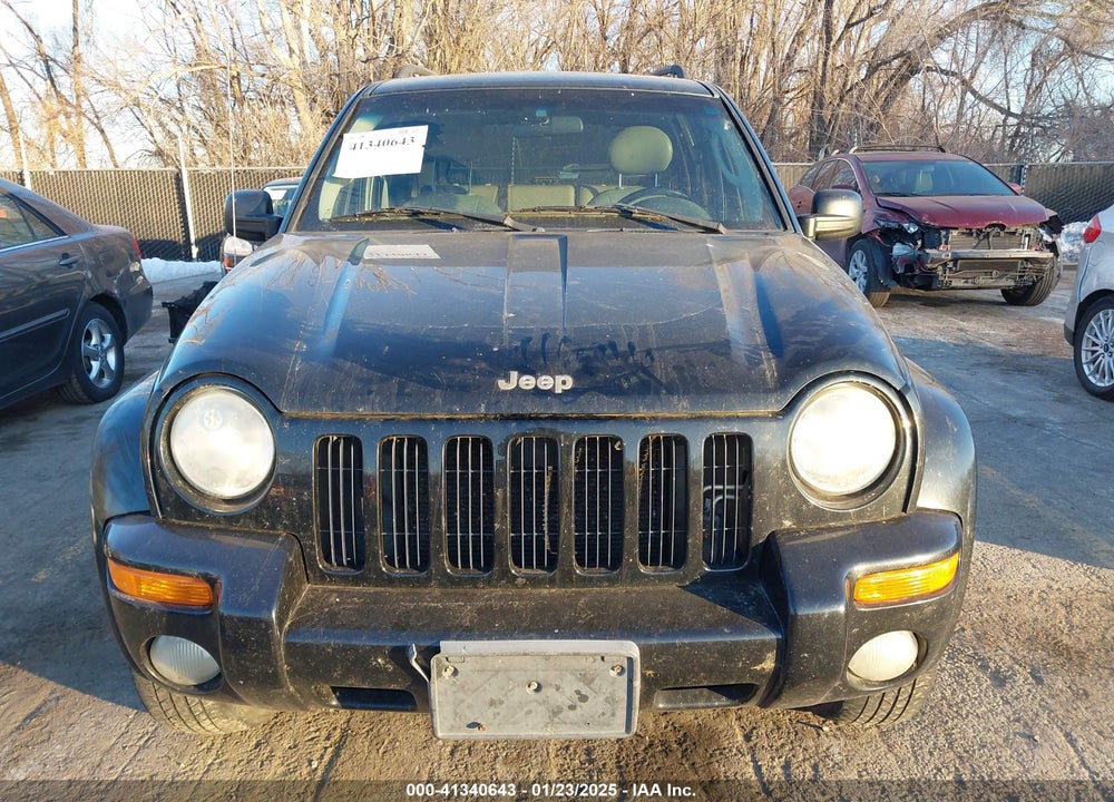 2002 JEEP LIBERTY LIMITED EDITION VIN: 1J4GL58KX2W212732