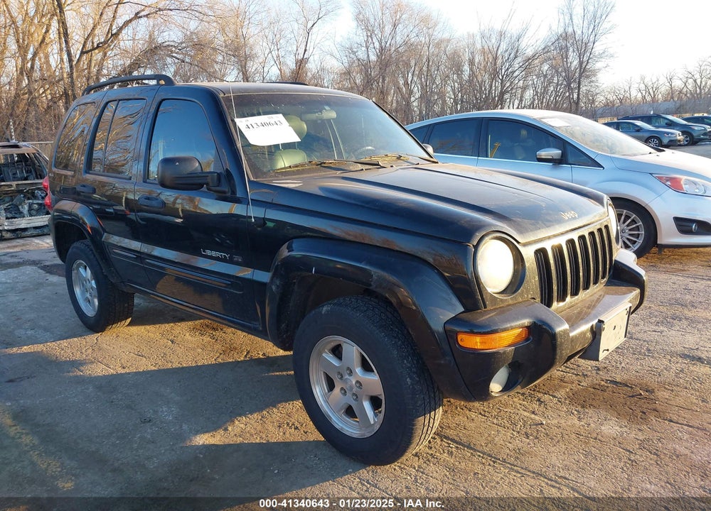 2002 JEEP LIBERTY LIMITED EDITION VIN: 1J4GL58KX2W212732