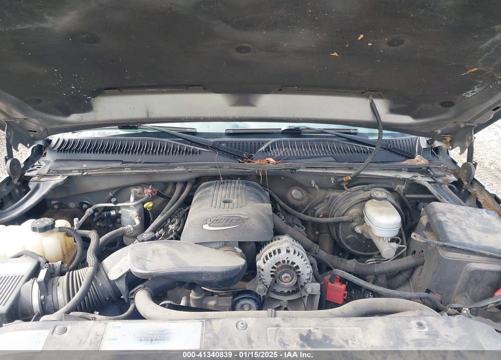 2006 CHEVROLET SILVERADO 1500 VIN: 2GCEC19TX61110812